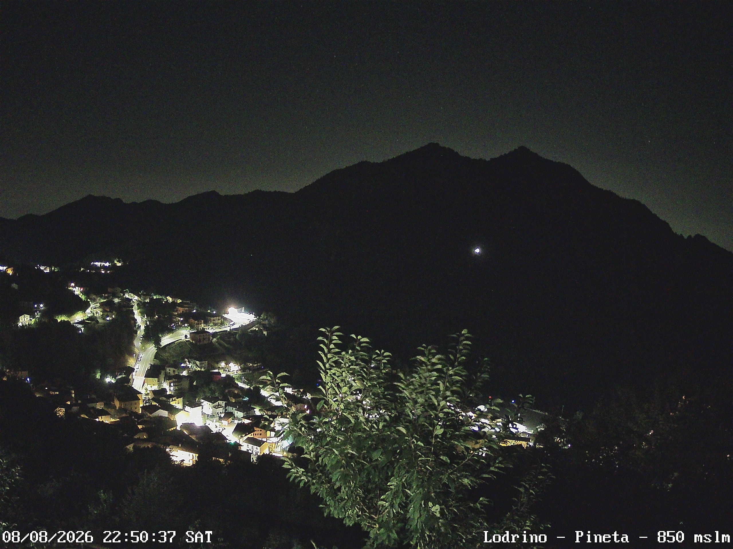 Lodrino — Pineta